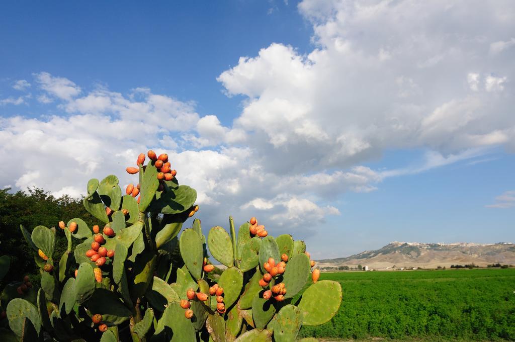מונטסקליוזו L'Orto Di Lucania חדר תמונה